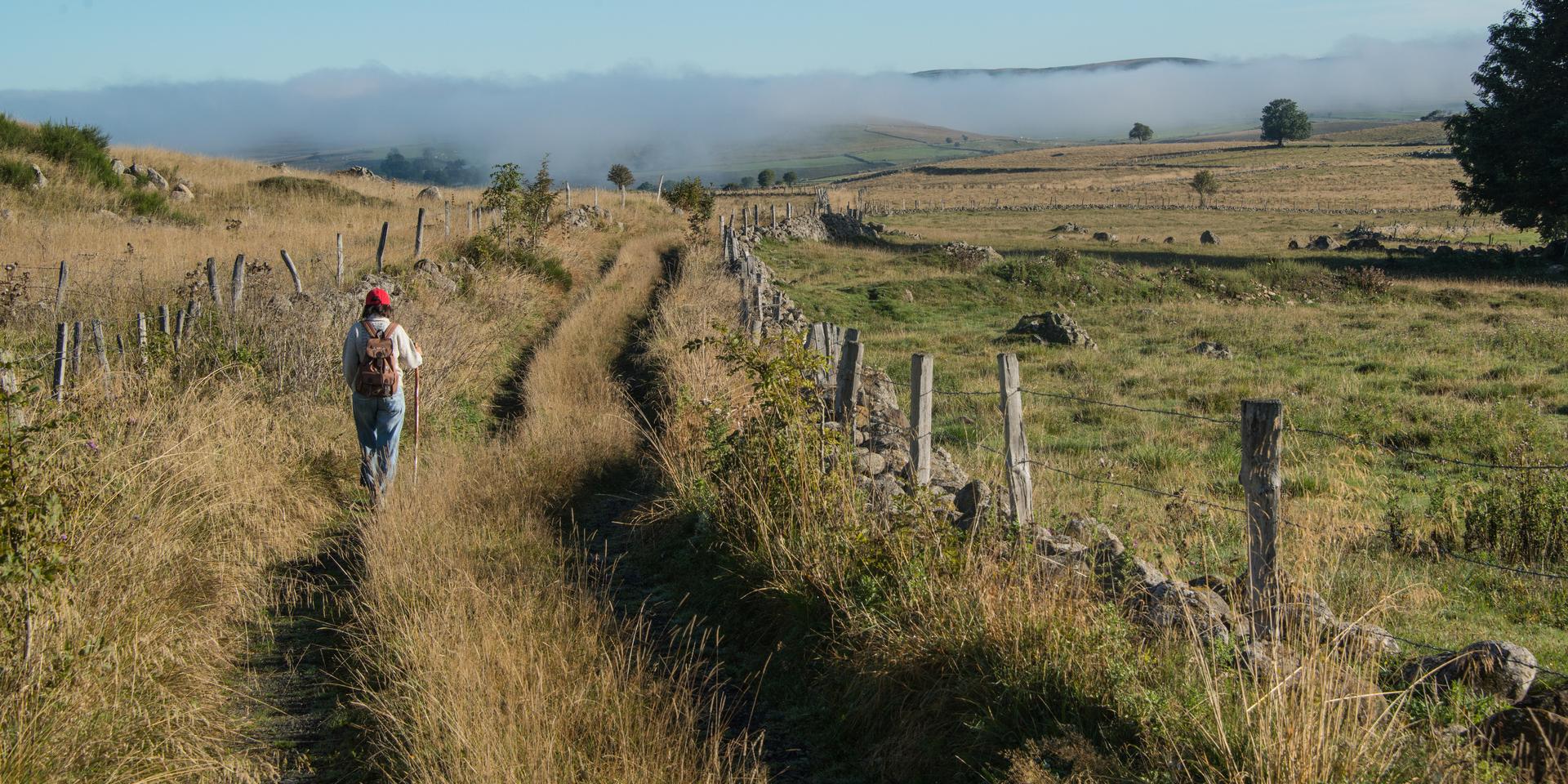 Chemin de randonnée sur l'Aubrac - Chemin de Saint Guilhem le Désert