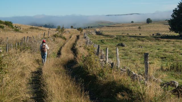 Aubrac hiking trail - Chemin de Saint Guilhem le Désert