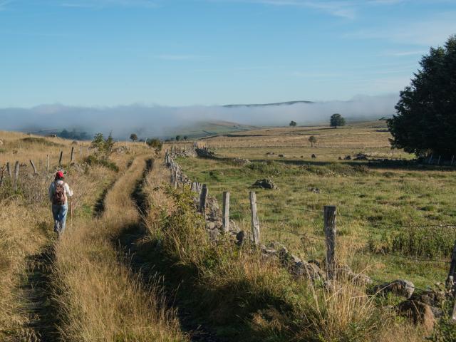 Aubrac hiking trail - Chemin de Saint Guilhem le Désert