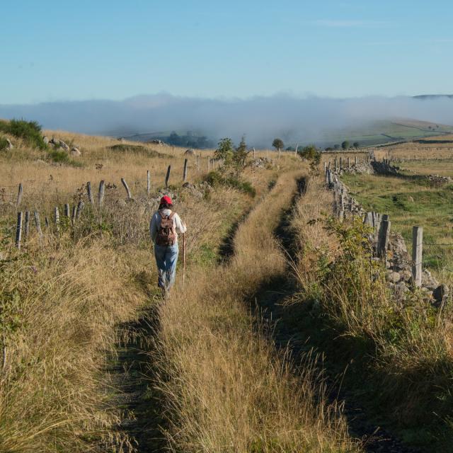 Chemin de randonnée sur l'Aubrac - Chemin de Saint Guilhem le Désert