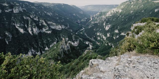 Panoramic view of the Gorges du Tarn from Point Sublime