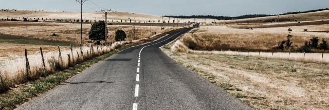 Road on the Causse Méjean bordered by fields of angel hair