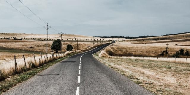 Route sur le Causse Méjean bordée de champs de cheveux d'ange