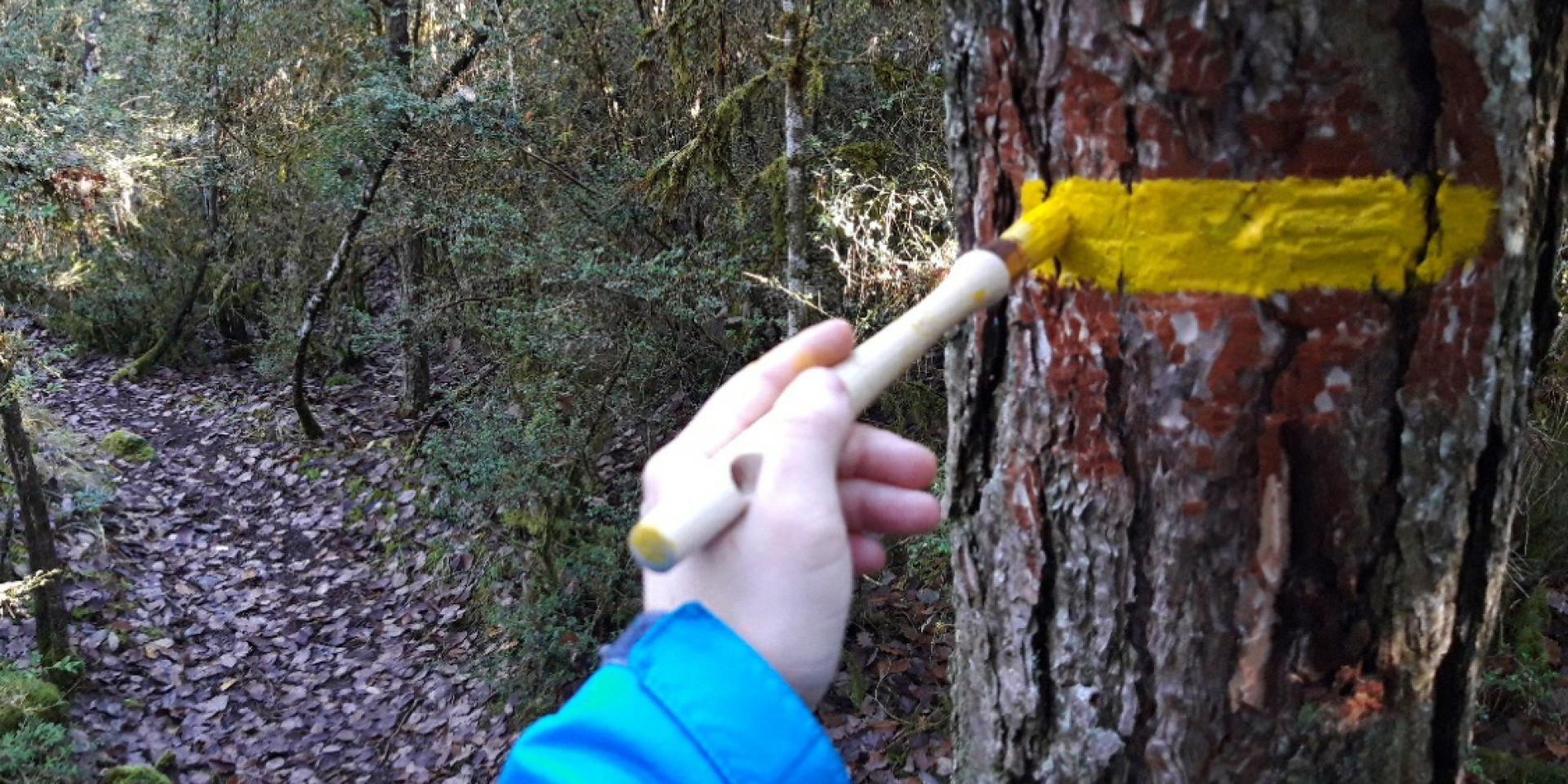 markers for lozère