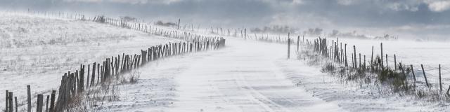 Paysage d'Aubrac sous la neige