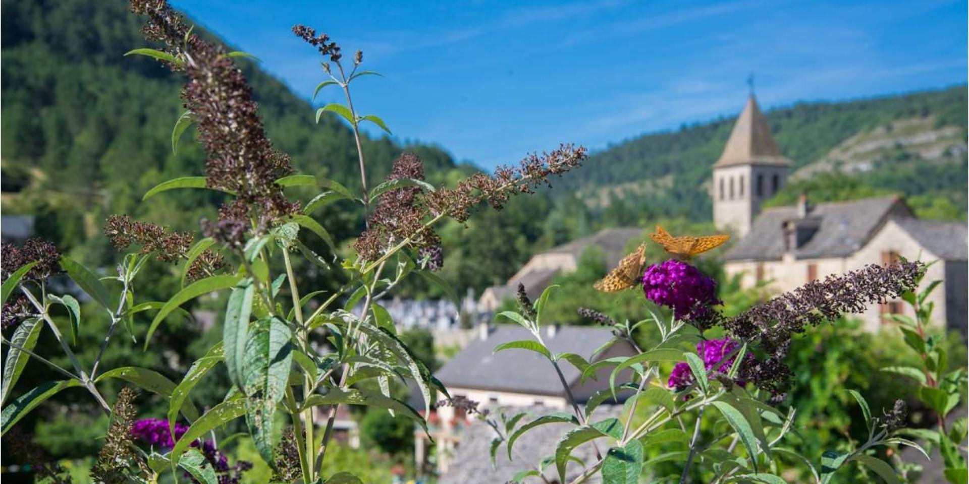 Chanac village vallée du lot