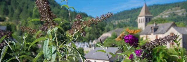 Chanac village vallée du lot