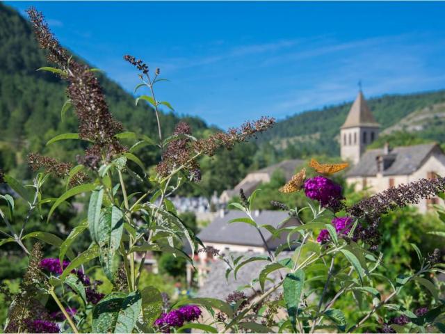 Chanac village vallée du lot