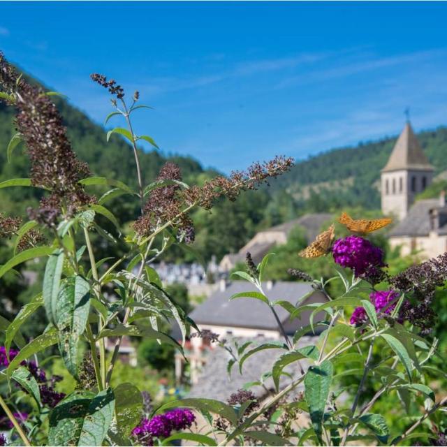 Chanac village vallée du lot