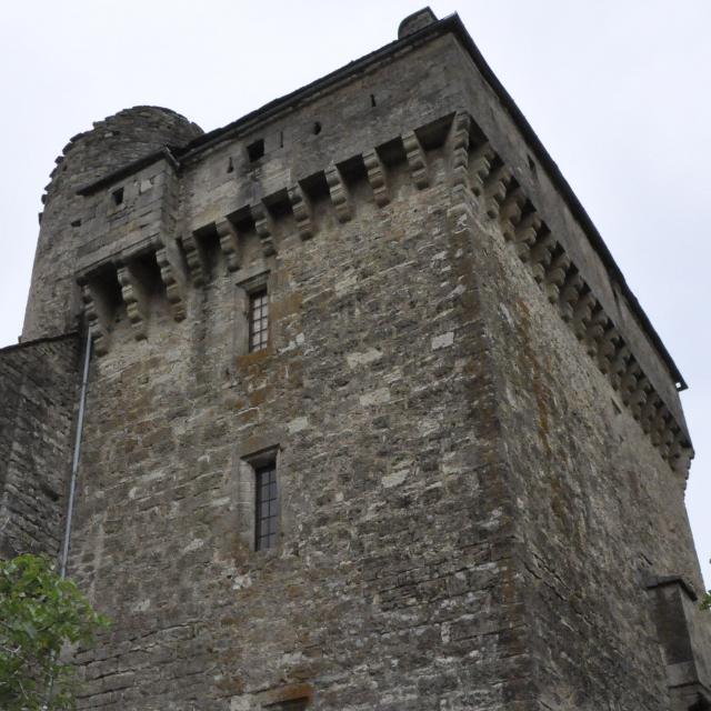 Le Chateau de Montjezieu domine la Vallée du Lot