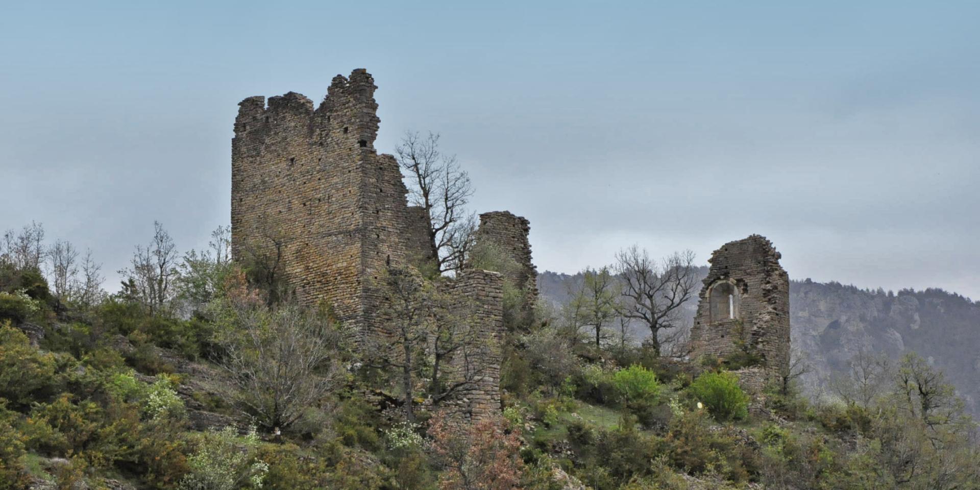 Les ruines du Château de Dolan se situent sur le Causse de Sauveterre domine les Gorges du Tarn.