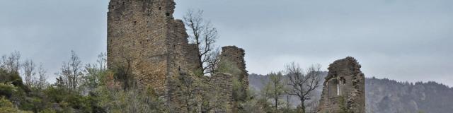 Les ruines du Château de Dolan se situent sur le Causse de Sauveterre domine les Gorges du Tarn.