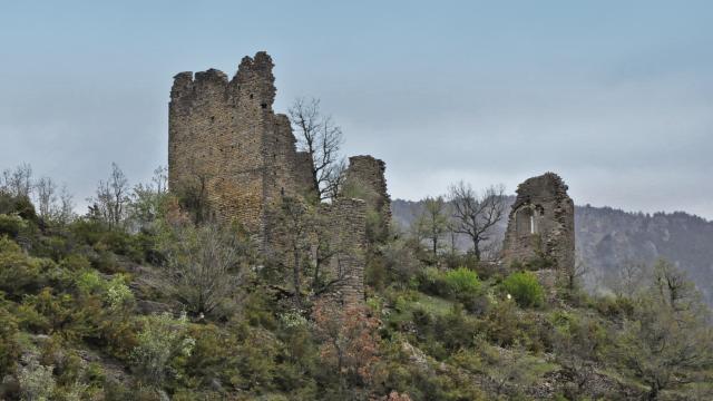 Les ruines du Château de Dolan se situent sur le Causse de Sauveterre domine les Gorges du Tarn.