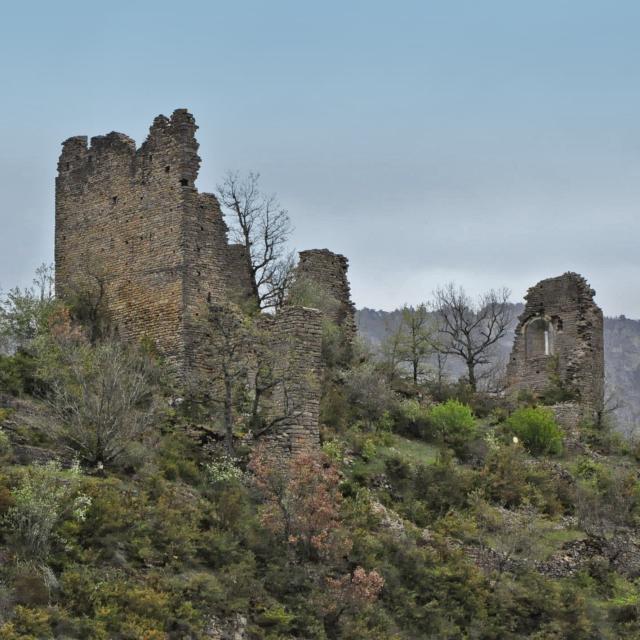 Les ruines du Château de Dolan se situent sur le Causse de Sauveterre domine les Gorges du Tarn.