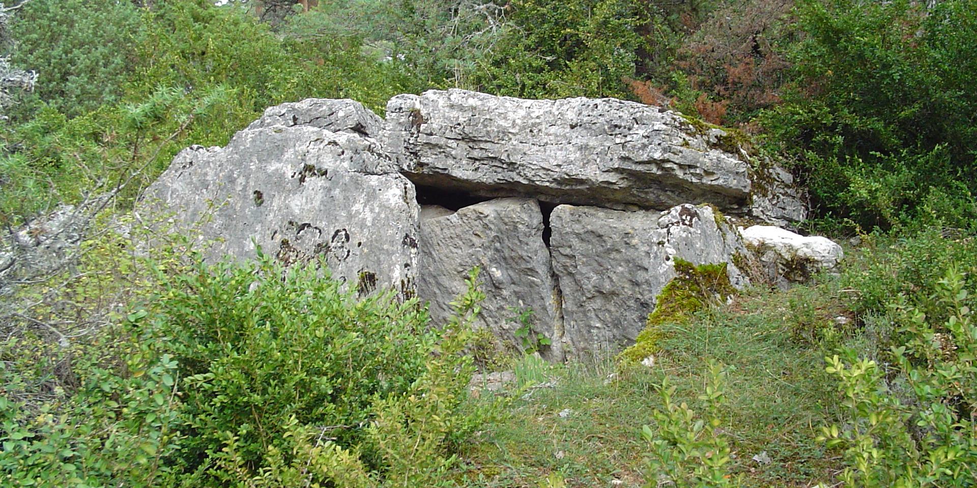 Dolmen Du Chardonnet - La Canourgue - Vallée du Lot