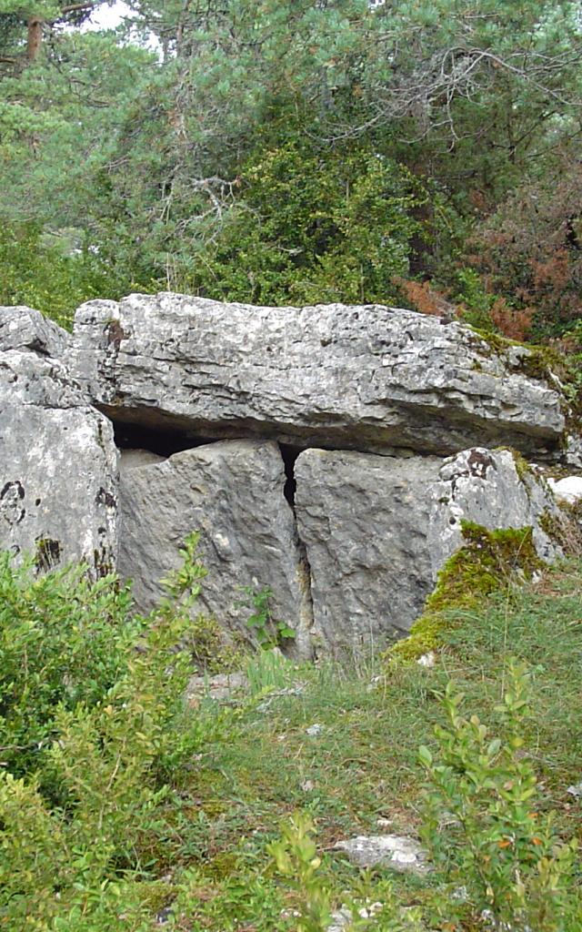 Dolmen Du Chardonnet - La Canourgue - Lot Valley