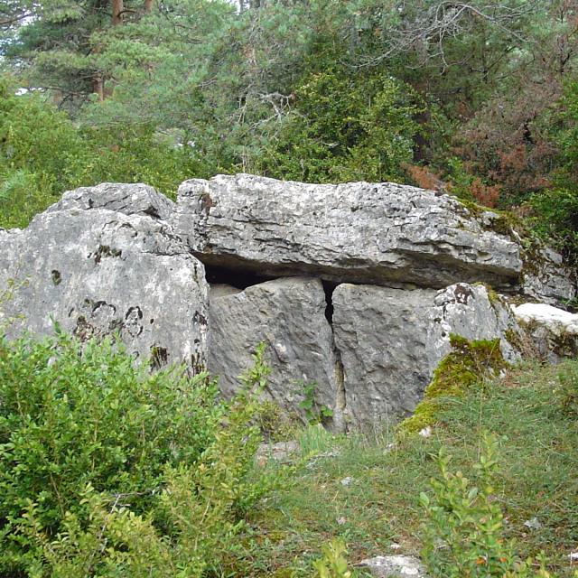 Dolmen Du Chardonnet - La Canourgue - Vallée du Lot