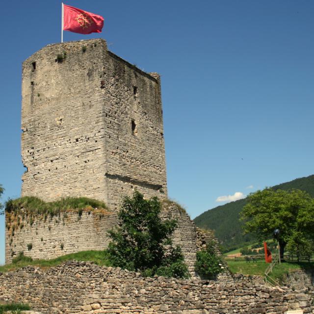 La Tour de Chanac, est un vestige du château des évêques de Mende. Visites guidées organisées en saison.