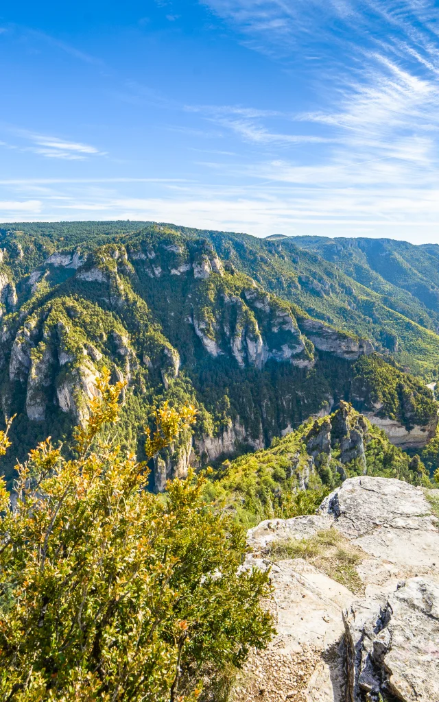 Le Point Sublime des Gorges du Tarn