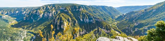 Le Point Sublime des Gorges du Tarn