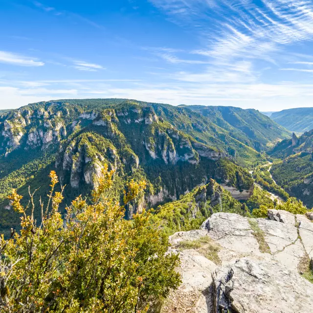 Le Point Sublime des Gorges du Tarn