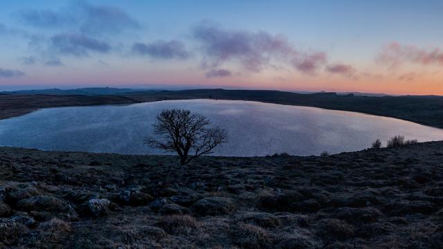 Lac d'Aubrac situé sur la route des lacs