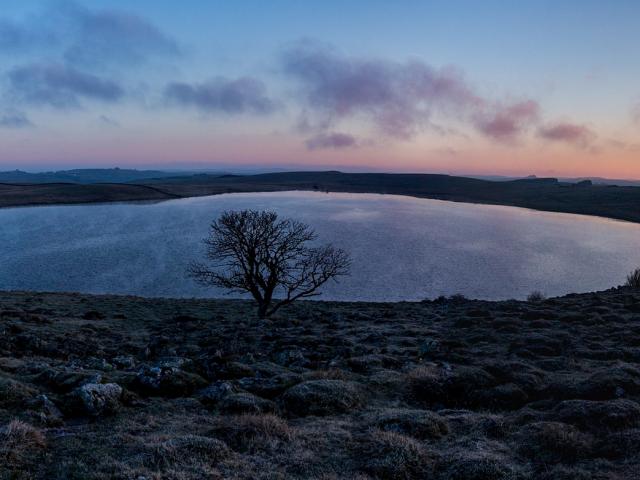 Lac d'Aubrac situé sur la route des lacs