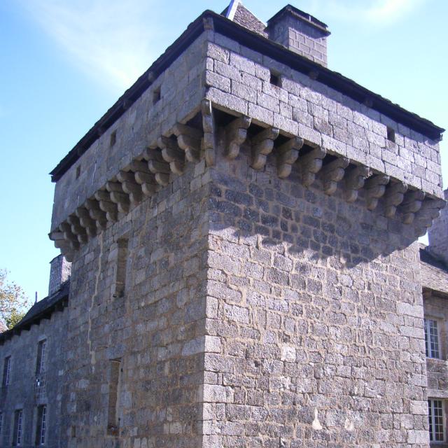 Château de La Baume sur l'Aubrac surnommé 