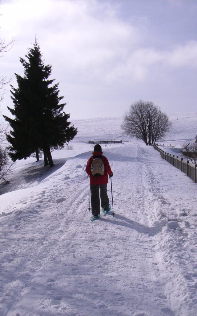 Ski de fond sur l'Aubrac au lac de Bonnecombe.