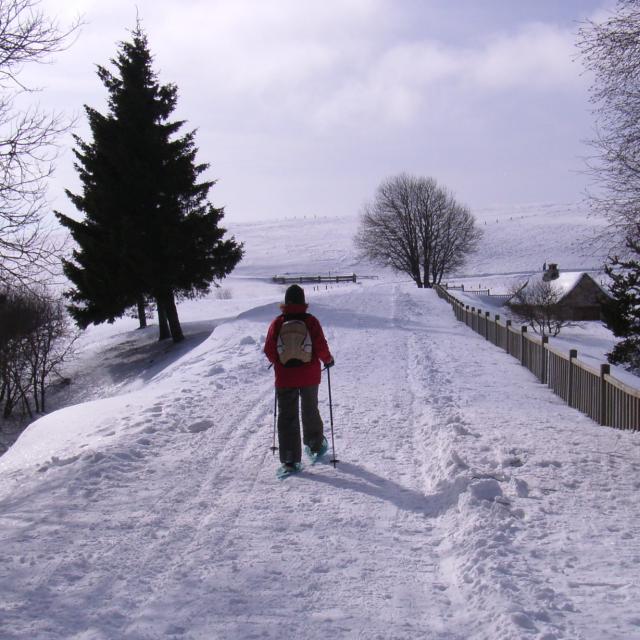 Ski de fond sur l'Aubrac au lac de Bonnecombe.