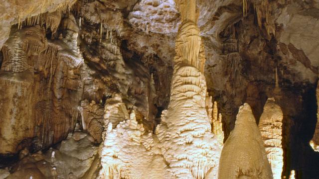 La grotte de Dargilan est la plus grande grotte des Causses et des Cévennes, classé au patrimoine mondial de l'UNESCO.