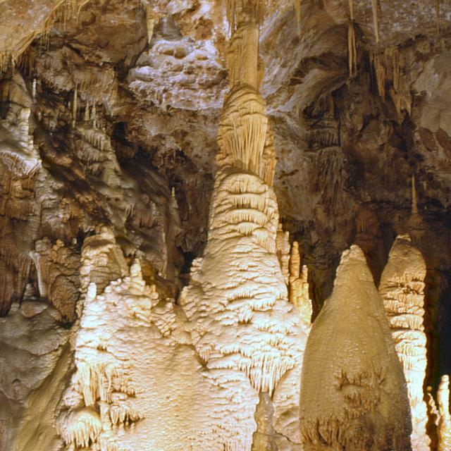 La grotte de Dargilan est la plus grande grotte des Causses et des Cévennes, classé au patrimoine mondial de l'UNESCO.