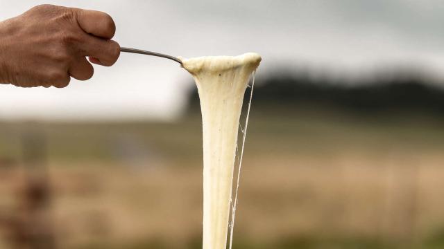 Aligot, Buron De Camejane © B. Colomb Lozère Sauvage Pour Pact Aubrac.