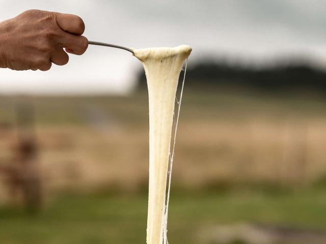 Aligot, Buron De Camejane © B. Colomb Lozère Sauvage Pour Pact Aubrac.