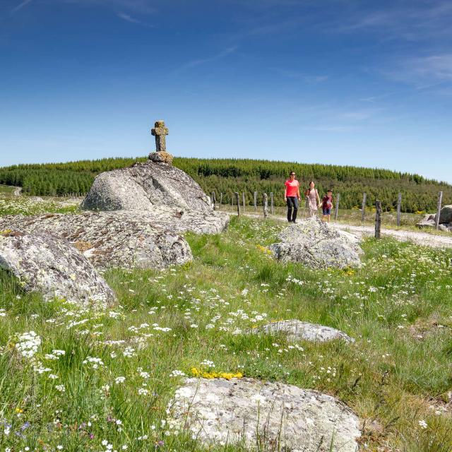 Balade à travers Croix et calvaires, aubrac.