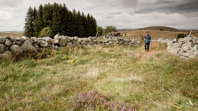 Randonneur sur le plateau de l'Aubrac.