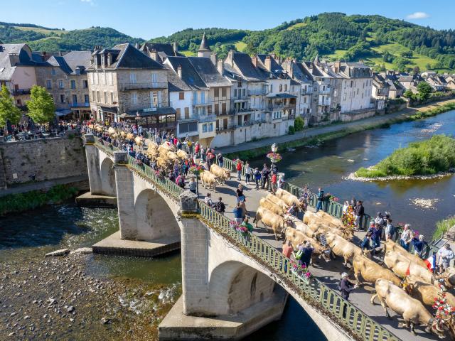 Estive St Geniez d'Olt, vaches sur le pont.