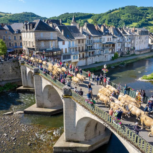 Estive St Geniez d'Olt, vaches sur le pont.