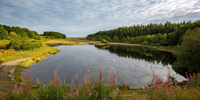 Étang De Bonnecombe, plateau aubrac.