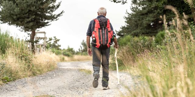 Randonneur sur le Chemin de Compostelle