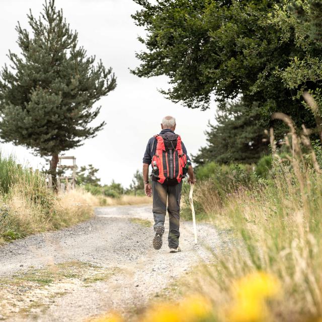 Randonneur sur le Chemin de Compostelle