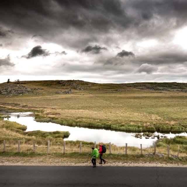 Gr 65 chemin de Compostelle randonnée aubrac