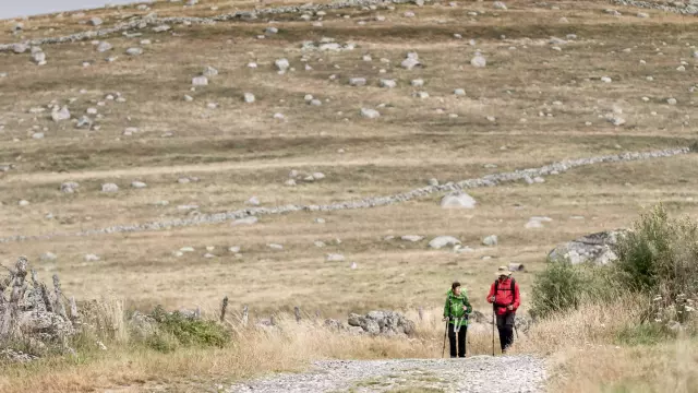 Couple de randonneurs sur le chemin de Compostelle.