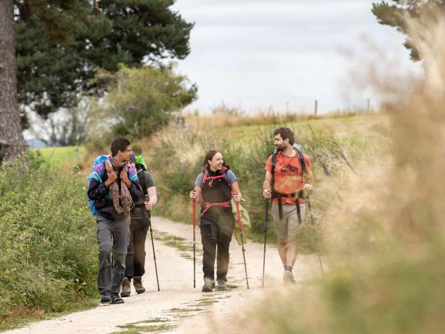 Groupe de jeunes randonneurs sur chemin aubrac.