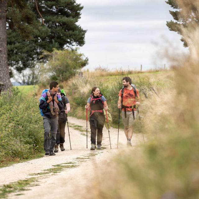 Groupe de jeunes randonneurs sur chemin aubrac.