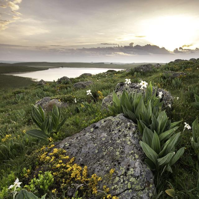 Lac de saint Andéol aubrac plateau.