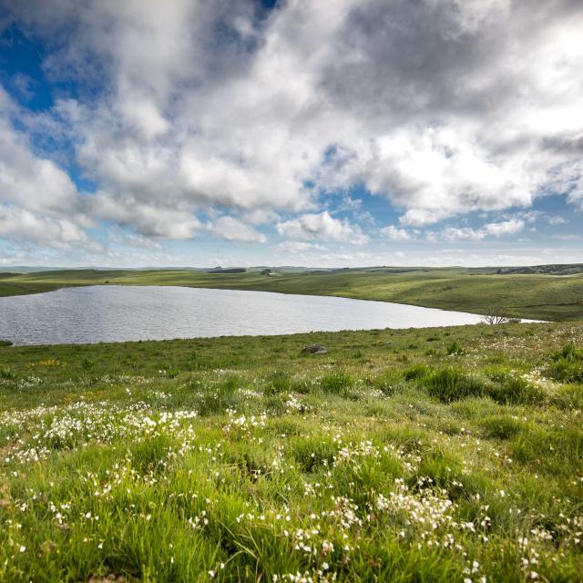 Lac De Saint Andeol et route des lacs sur l'Aubrac.