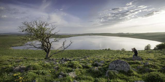 Lac De Saint Andeol photographie arbre solitaire.