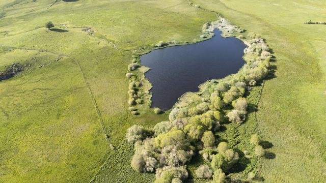 Lac De Souveyrols et nature plateau de l'Aubrac.