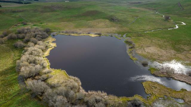 Lac De Souveyrols, lac de l'Aubrac.